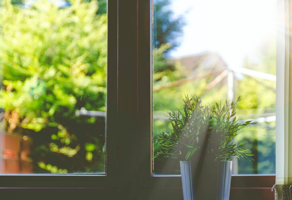 ventana con planta y jardin de fondo